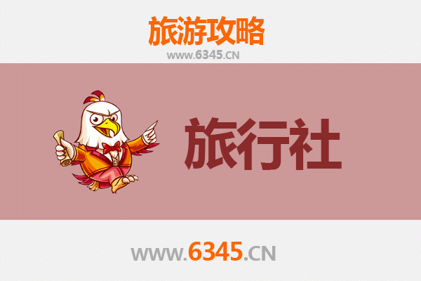 济宁市中本地旅行社推荐与深度游玩攻略